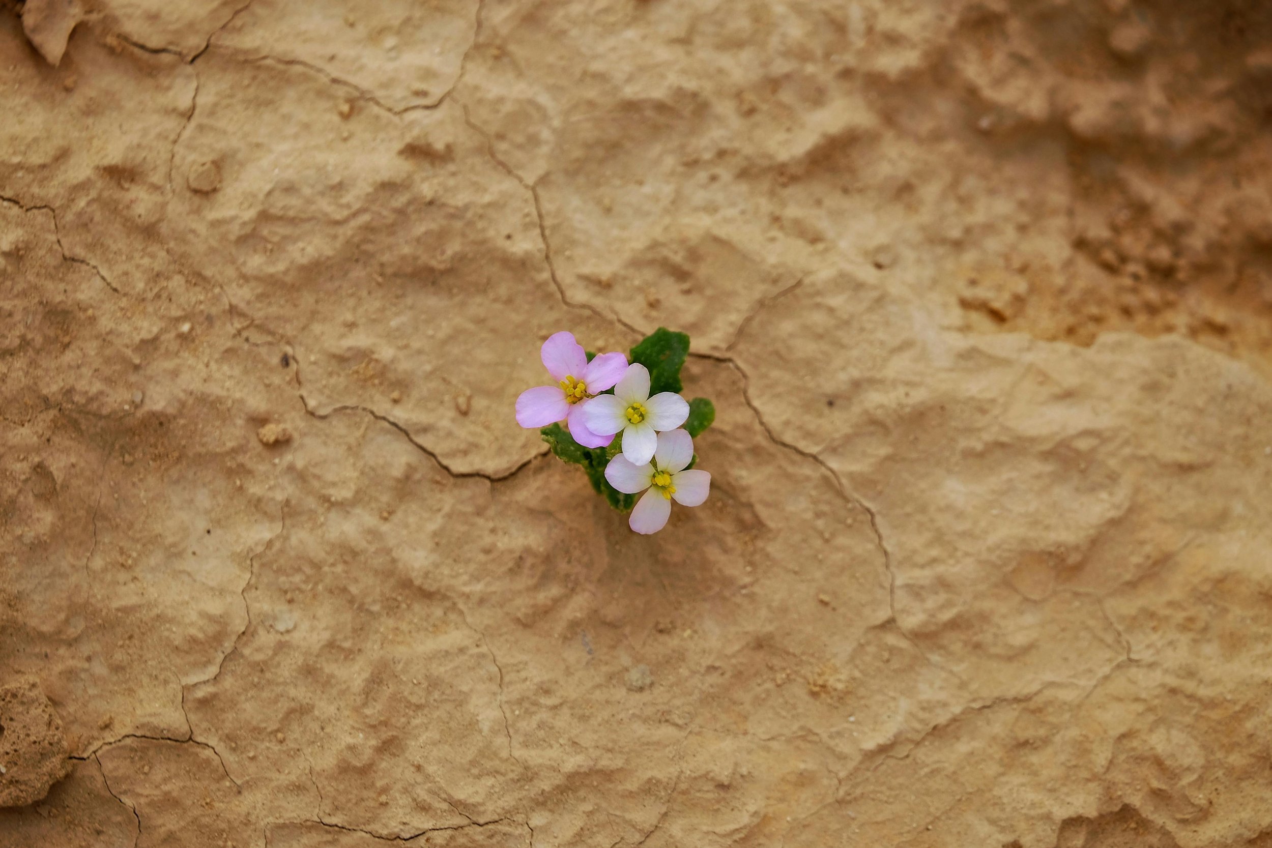 Are Miracles Possible in Today’s World?