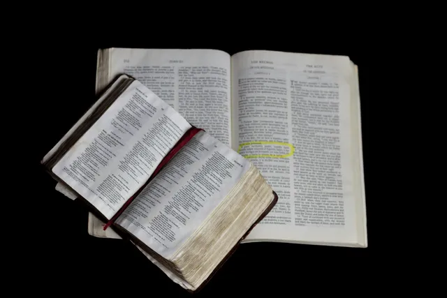 What’s the Difference Between the Catholic and Protestant Bibles?