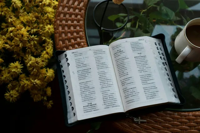 Why Are There So Many Bible Translations?