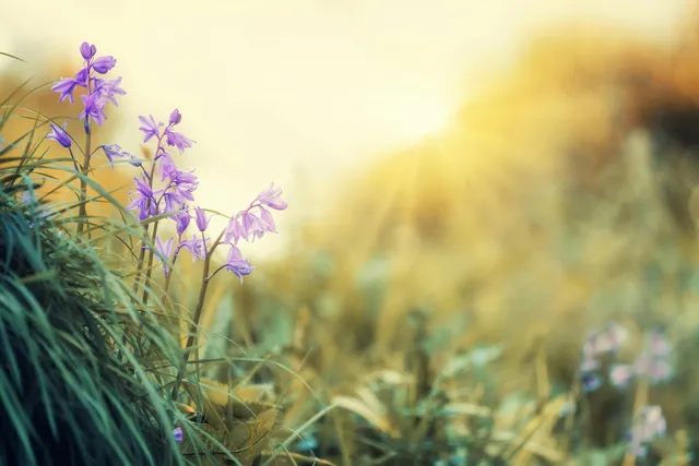The Gift of Ordinary Days: God in the Small Things