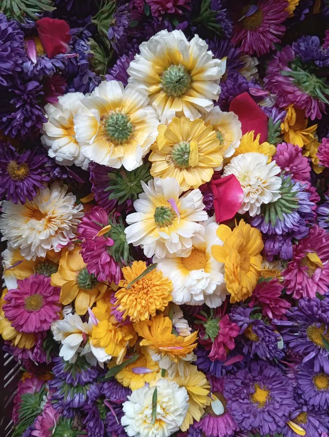 Finding Beauty in Brokenness: A Christian Reflection