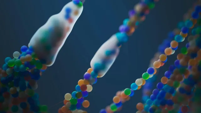The Bible and the Ethics of Genetic Engineering