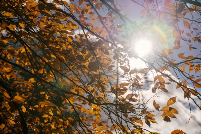 What Does It Mean That the Bible Is Inspired by God?
