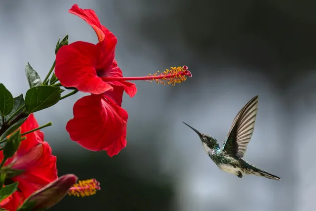 Why Creation Reflects the Glory of God