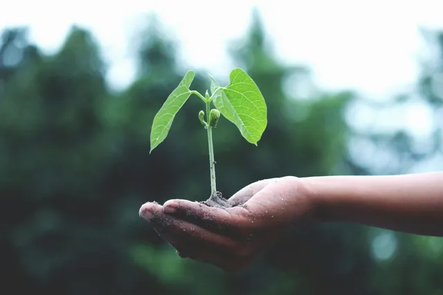 Stewardship: Managing God’s Resources Wisely