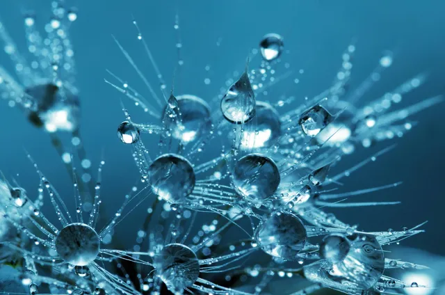 Science vs. Faith: Do They Really Conflict?
