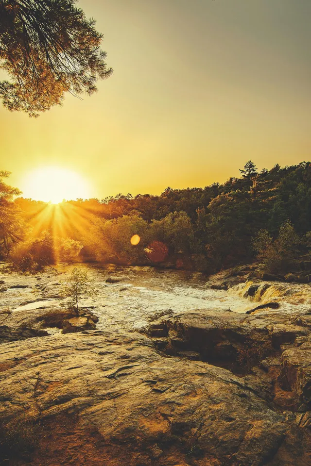 What Does the Bible Say About Creation and Evolution?