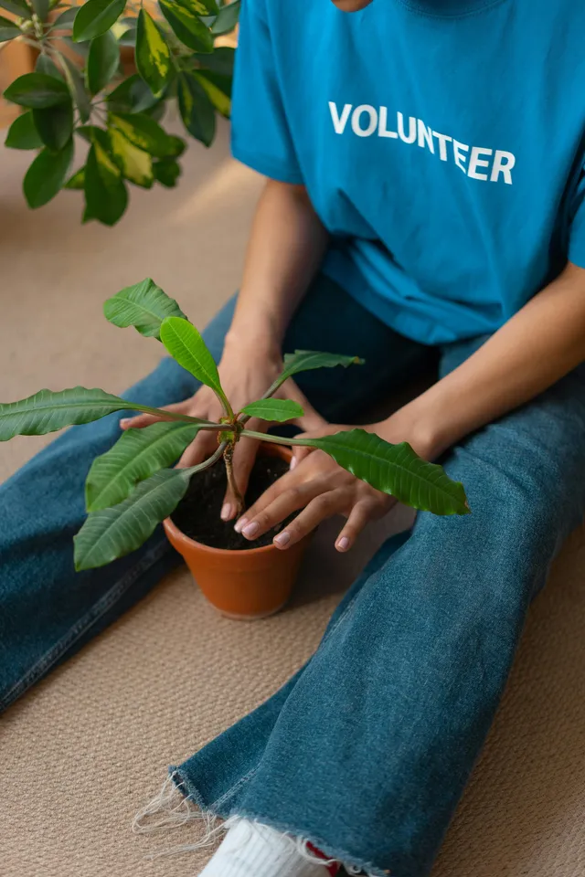 What Does It Mean to Practice Stewardship in Life?