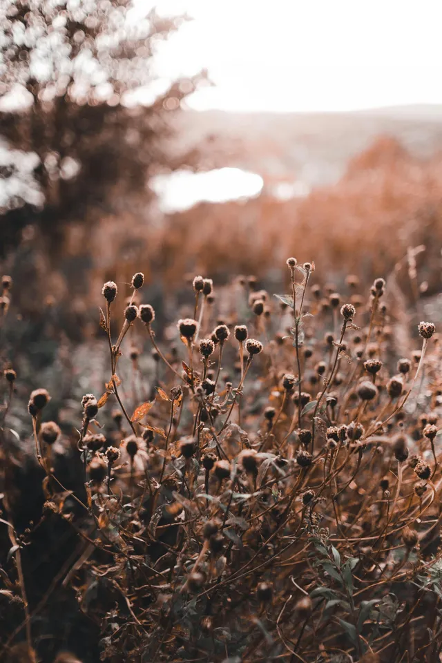 Faith That Lasts: Growing Strong in Changing Times