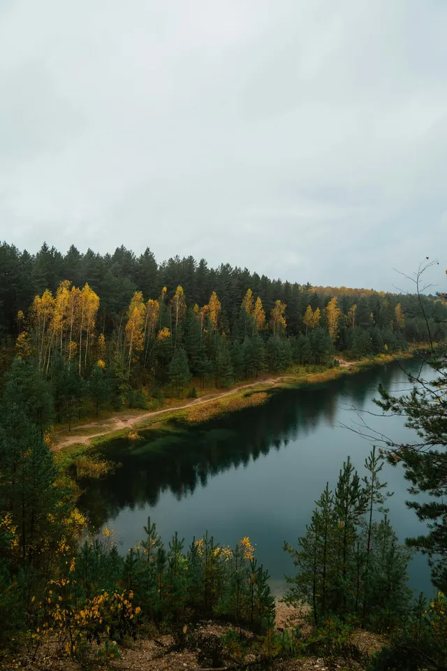Be Still and Know: Finding Rest in Psalm 46:10