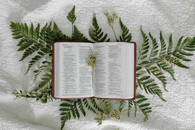 The Psalms: Poetry, Prayer, and Worship in Ancient Israel