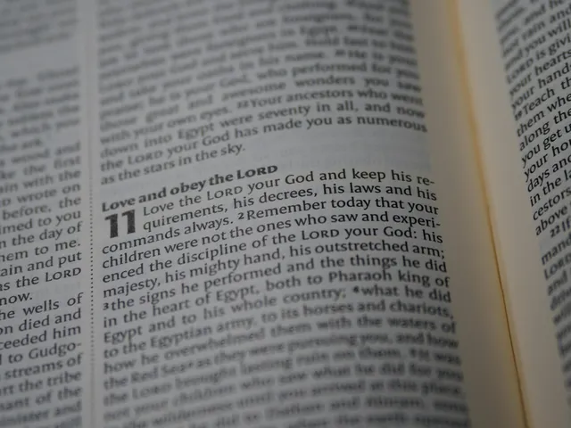 The Role of Law and Grace in the Bible