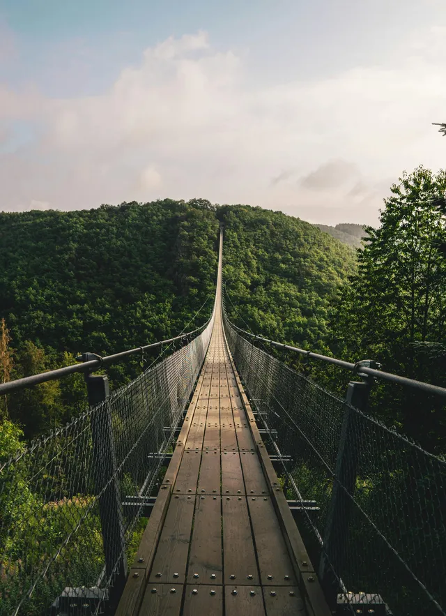 12 Stories of Courage in the Bible