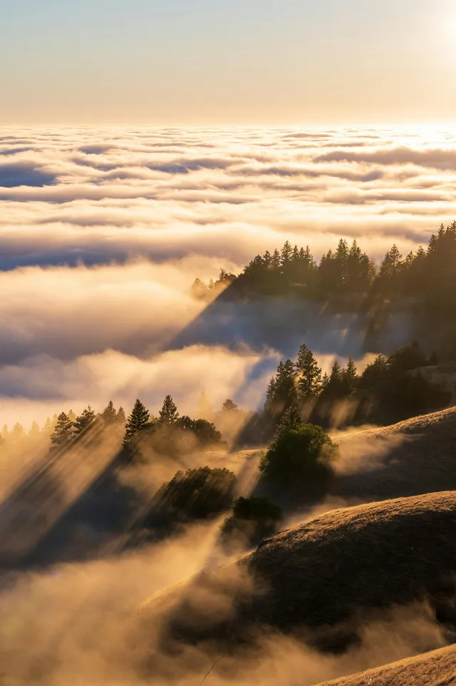 Unexpected Blessings: Finding Good in Hard Times