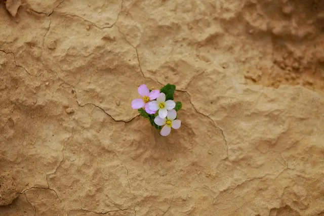 Are Miracles Possible in Today’s World?