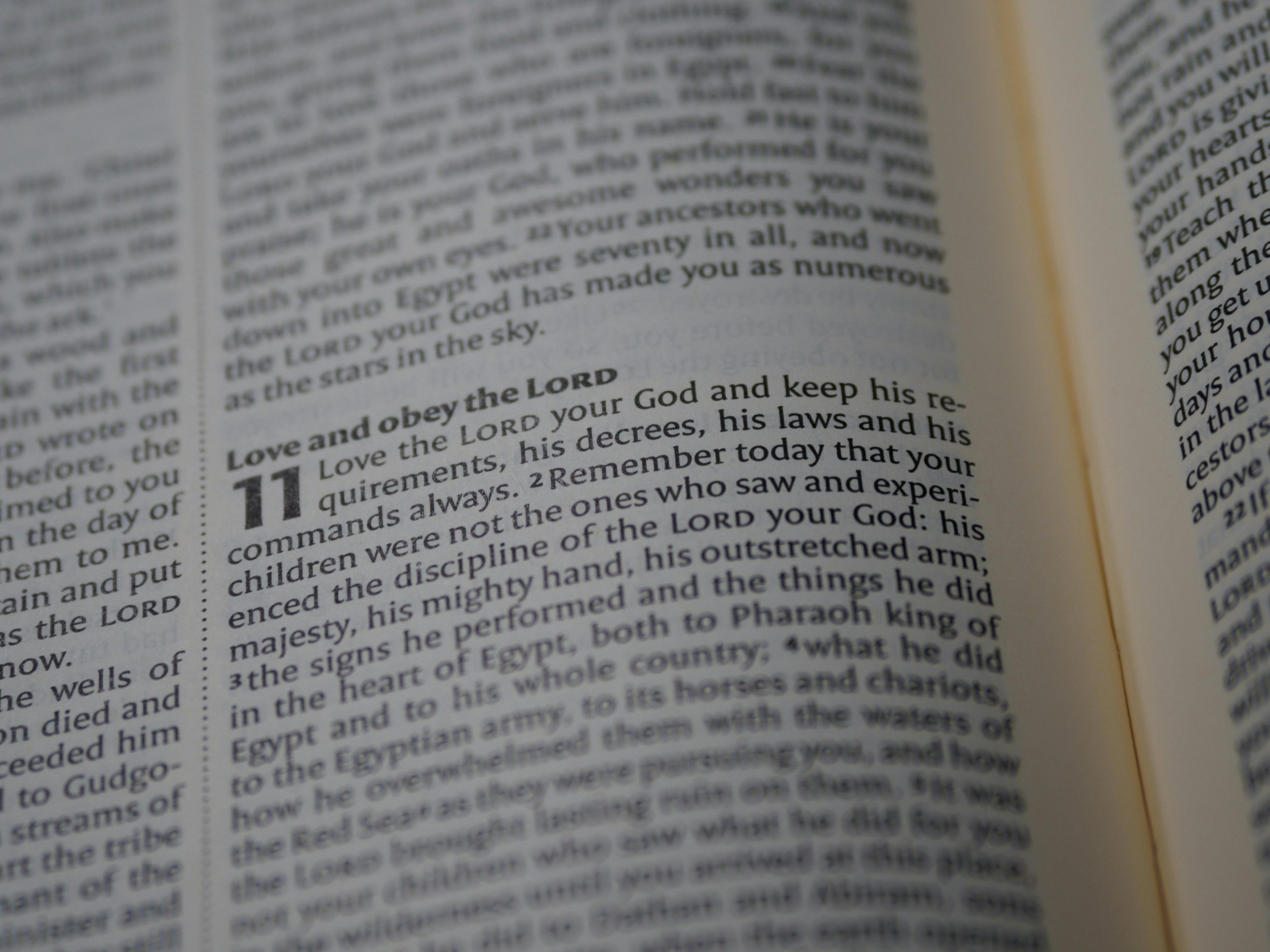 Strangest Laws in the Bible You Probably Didn’t Know - BibleMeans